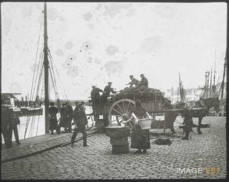 Déchargement de navire (Anvers)
